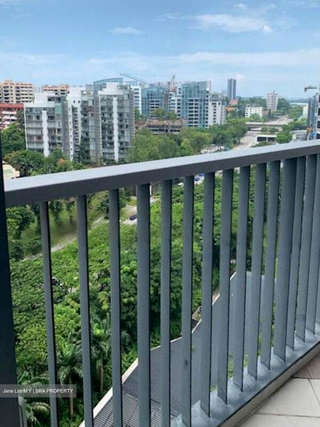 D'Leedon (D10), Condominium #464127781